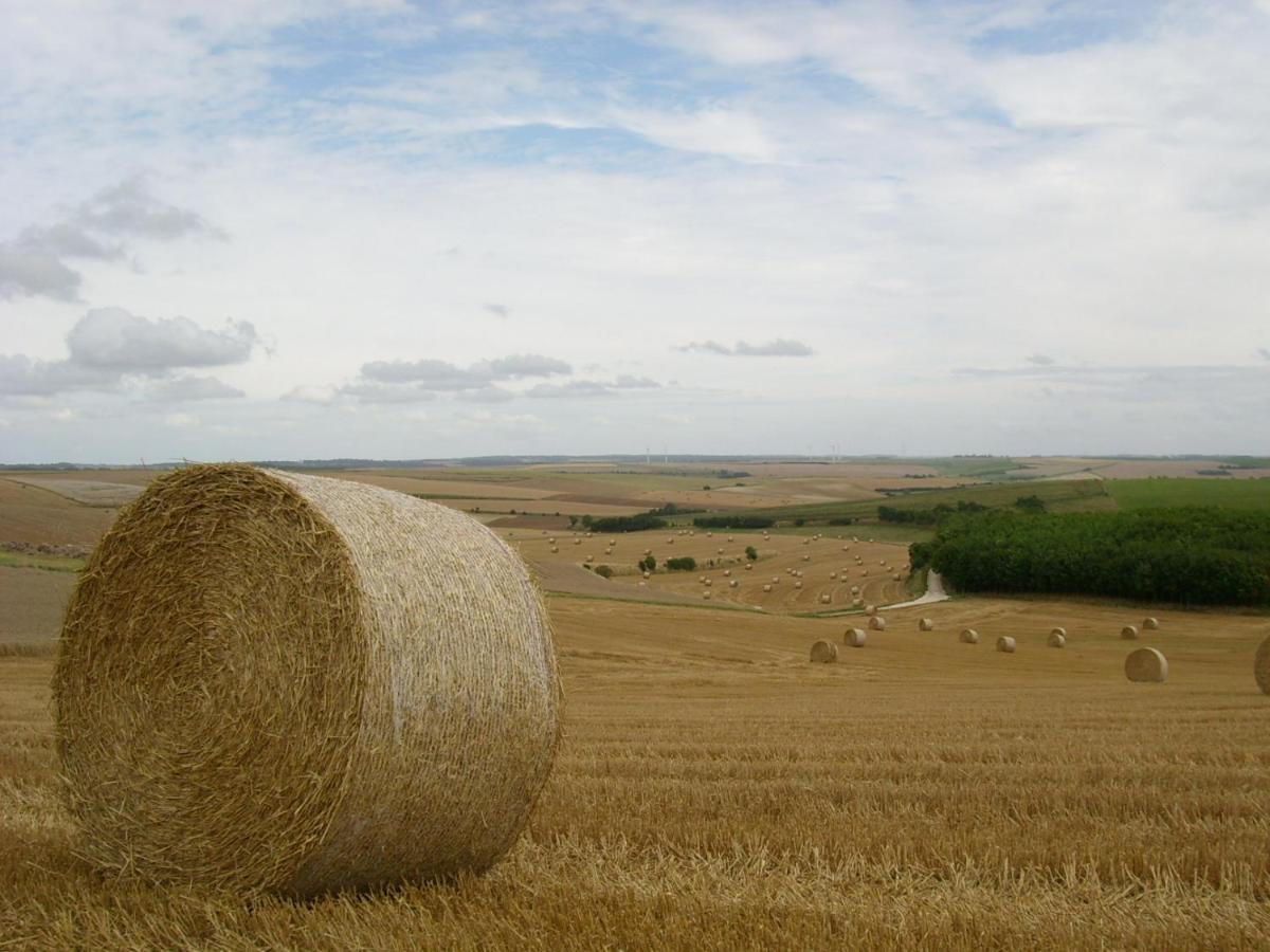 Gite Rural Le Bois Roger Widehem 외부 사진